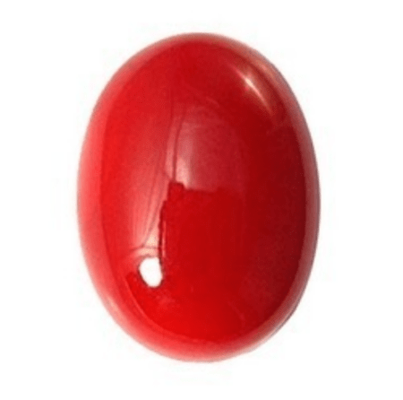 Red Coral